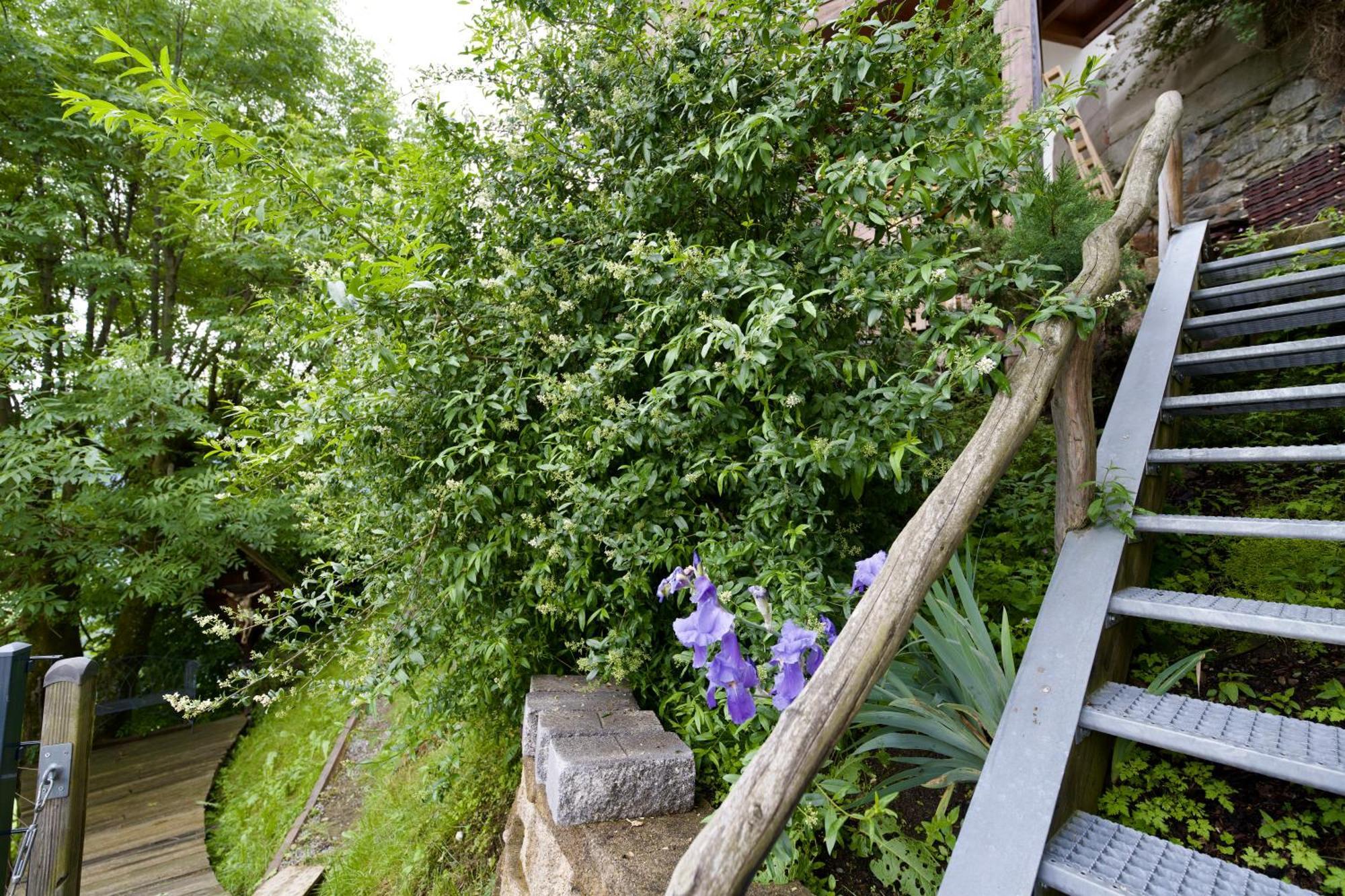 Apartment Alpine Retreat 2