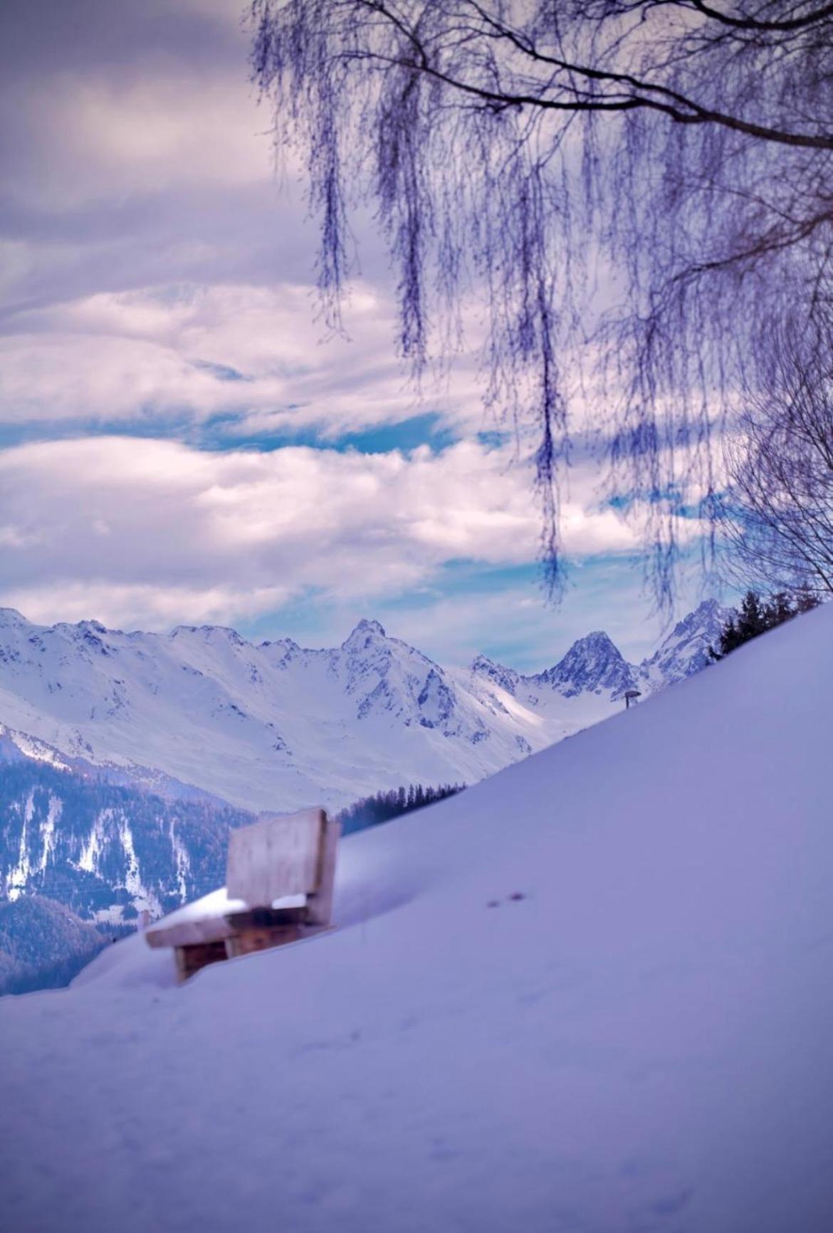 Apartment Alpine Retreat 2
