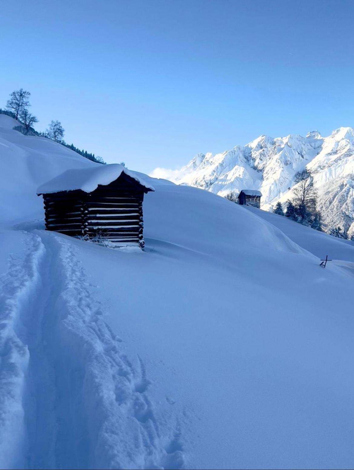 Alpine Retreat 2