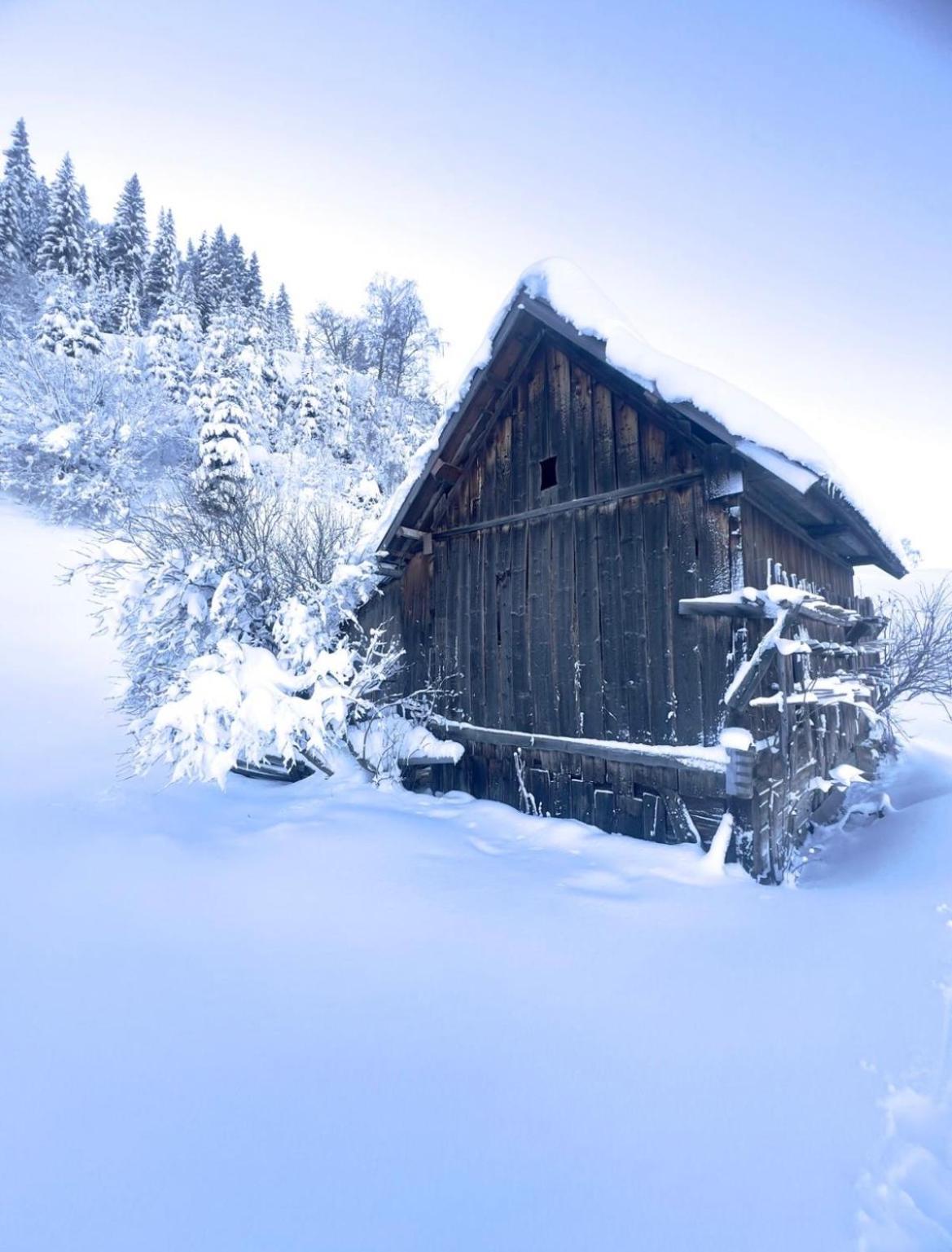 Alpine Retreat 2 * Fließ